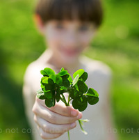 Ψ����ÿһ������ Ҳ�����ϲ��