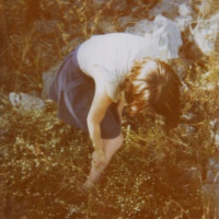 ���ճ�����