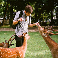 ���ճ�����