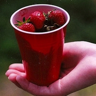 �����ɫ��ݮ����ˮ��qqͷ��ţ�����ݮ����Ѵ���