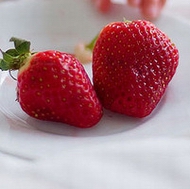 �����ɫ��ݮ����ˮ��qqͷ��ţ�����ݮ����Ѵ���