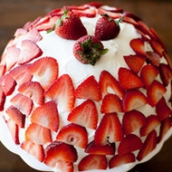 �����ɫ��ݮ����ˮ��qqͷ��ţ�����ݮ����Ѵ���