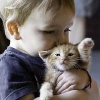 ���ɰ�����С����ͷ��,ԲԲ�����������۾�