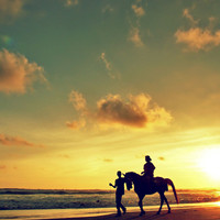 ϲ�������⾳��ͷ �����Կ�����ļ�į