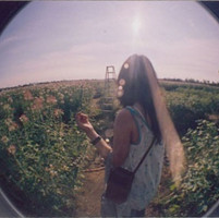 ǿ�ջ�Ц ��˭�ڷ���