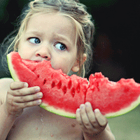 û������˵����