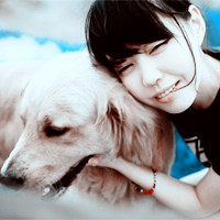 ����ϵ����ͷ�� ϲ����