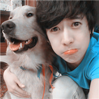 ����ϵ����ͷ�� ϲ����