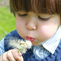 �Ȼ� ���������С����