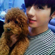 ������ŷ����ק��qq����ͷ��ֵ��ɭŮ�ղص�˧��