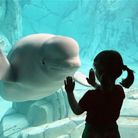 ����Ҫ�ߵ����