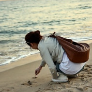 ����Ҫ�ߵ����