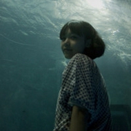 Ψ������qqŮ���⾳ͷ����ɫҶƬ�µ��ڼ�Ů��