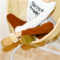 ���ǳ�������������