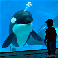 ����ͷ���㰮��