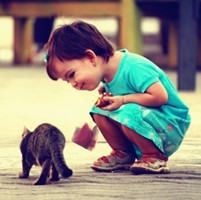 ��˵�ĺ��� ��û�е���