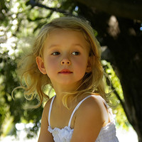 ��˵�ĺ��� ��û�е���