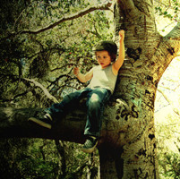 ��˵�ĺ��� ��û�е���