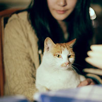 ��˵�Ժ� ��ȴ������ǰ