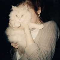 �κܿ� �ĺ�ʹ