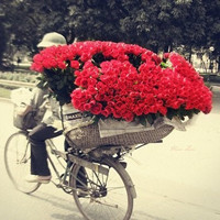 лл�� ˵һ�� ���� �Һ�����