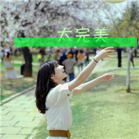 Ϊʲô�����ҵ�ͷ��