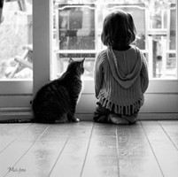 baby �����ؼҰ�