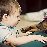 ����ɰ�С����QQͷ��С���ӵ��������ǻ�������