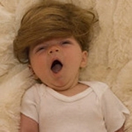 �պ�˧��С�����ɰ�ͷ�񣬰ְ�˵������Сʱ�������