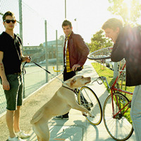 ��ֻ֪���������ǰ׽е�