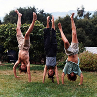 ��ֻ֪���������ǰ׽е�