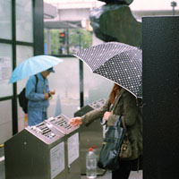 ֻ���鵽�