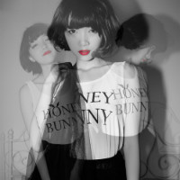 �Ҳ�̬ �����ñ��˶���