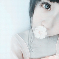 �ľ�����QQ�ɰ�ͷ�������������ѡ���˳���