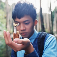 ����������ͷ���е�ʱ��һ����������һ�����ź�