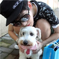 ��������QQͷ�����£������ü���������Թ�