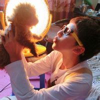 ���Ҷ����QQͷ������������������ÿһʱ����