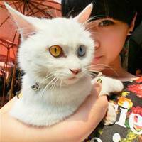 ����һʱ��QQ�ɰ�Ů��ͷ�񣬶�����֮ʱ�����