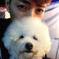 ���¡��໥�Ķ���΢Цͷ��