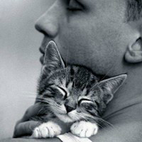 �����Ƿ��Ρ��ڰ�ŷ�����а���