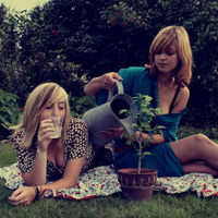 һ����Ϸ�Ľ���������