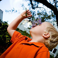 �ɰ���ŷ��С��QQ����ͷ��