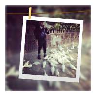 �д�������һ��һqq����ͷ��