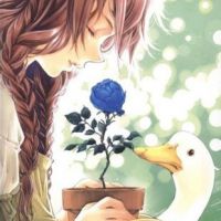 ��������ĸ����ֻ�