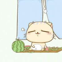 �ɰ�è�� ccè