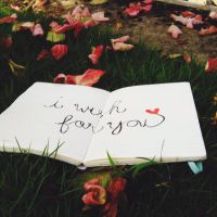 �����������������ĵĻ���