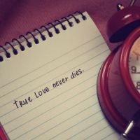 �����������������ĵĻ���