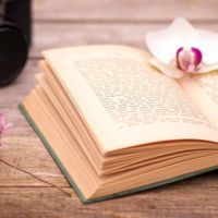 �����������������ĵĻ���