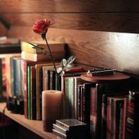 �����������������ĵĻ���