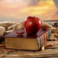 �����������������ĵĻ���